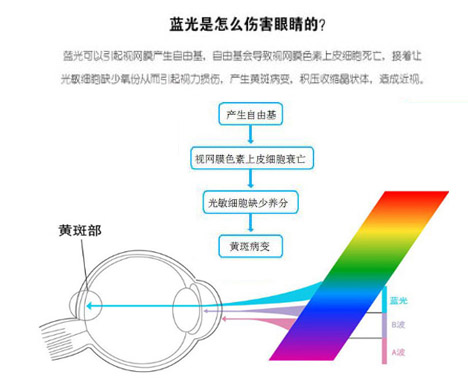 蓝光的危害